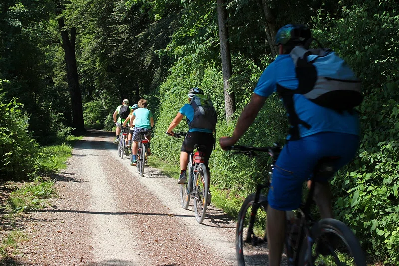 People biking together through some trees